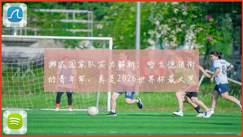 挪威国家队实力解析：哈兰德领衔的青年军，真是2026世界杯最大黑马吗？