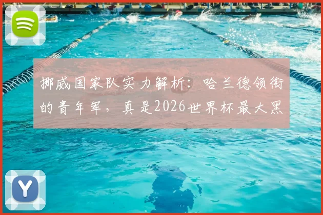 挪威国家队实力解析：哈兰德领衔的青年军，真是2026世界杯最大黑马吗？